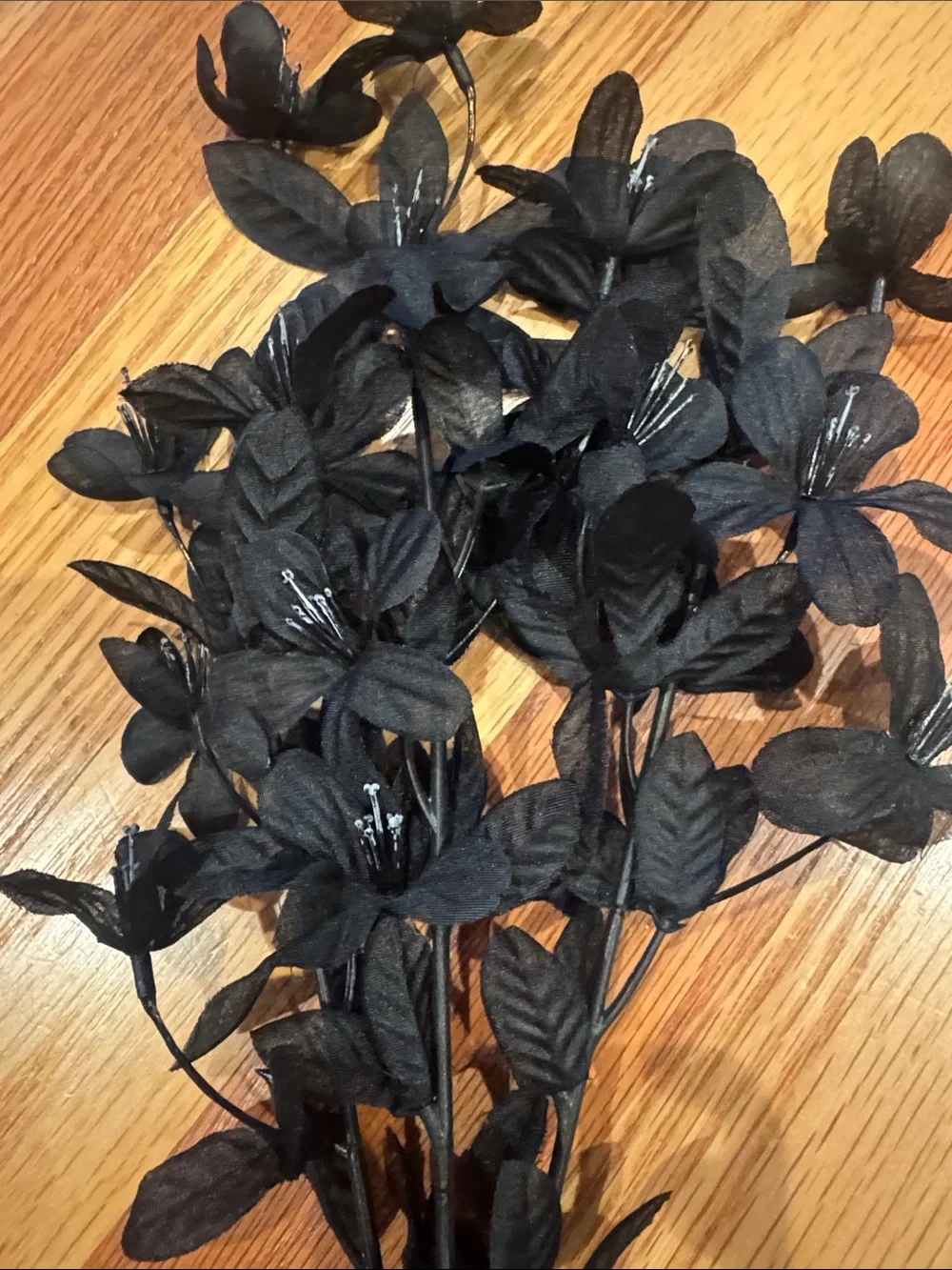 Michaels bold black
